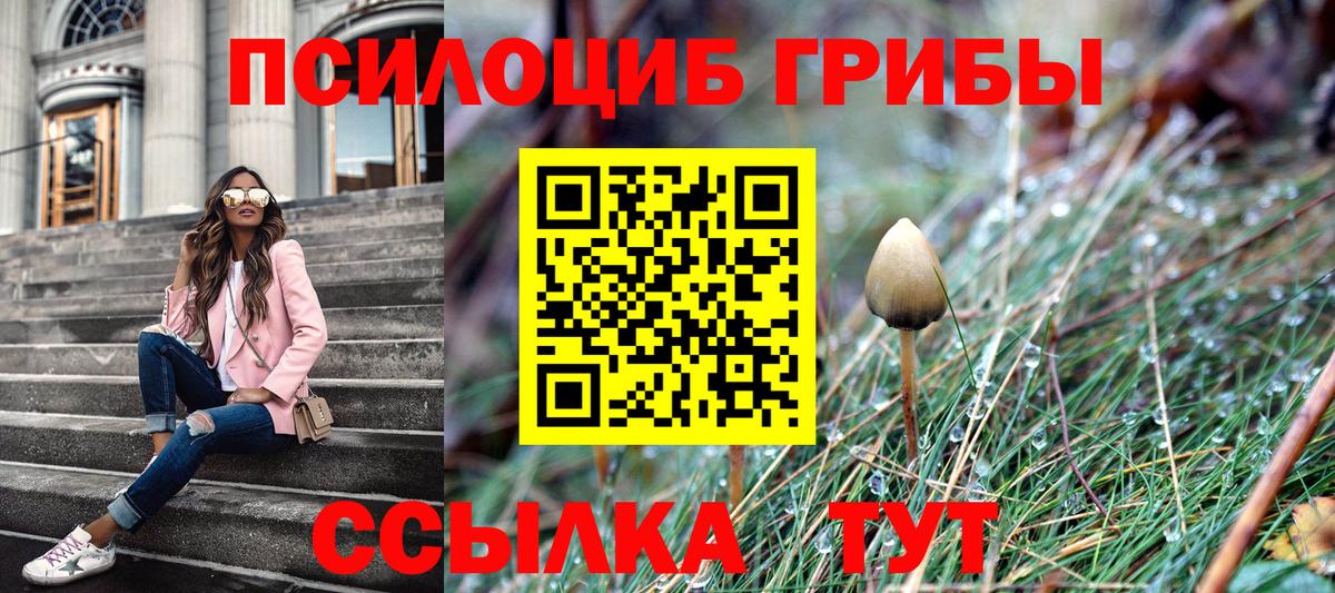 Галлюциногенные грибы MAGIC MUSHROOMS  Вход с VPN  Кашира 