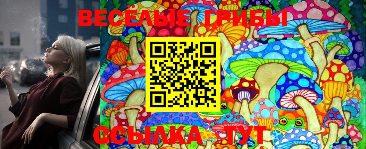 Псилоцибиновые грибы Magic Shrooms Кашира
